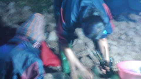 骸骨人 在线观看,惊悚悬疑，探寻生死之谜  第3张